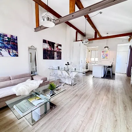 Appartamento Loft Au Calme En Dernier étage Avec Ascenseur 2 70 M